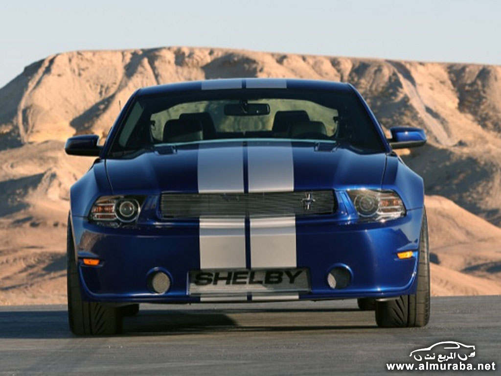 017-2014-shelby-gt-1