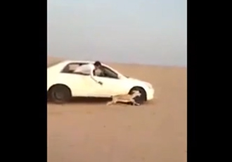"فيديو" سعودي يصطاد غزال من داخل سيارة هوندا اكورد 5