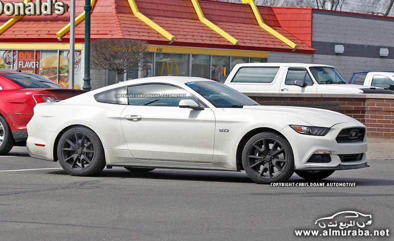 2015-ford-mustang-50th-anniversary-edition-spy-photo-photo-582733-s-787x481