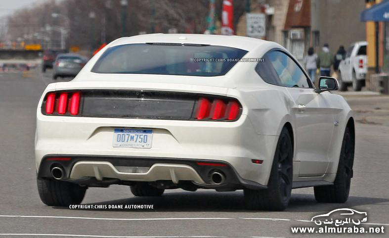 2015-ford-mustang-50th-anniversary-edition-spy-photo-photo-582738-s-787x481