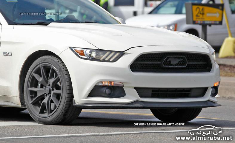 2015-ford-mustang-50th-anniversary-edition-spy-photo-photo-582739-s-787x481 (1)