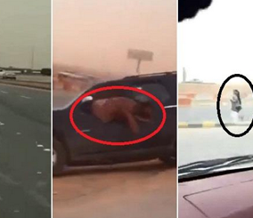 "فيديو" شاهد نهاية مطاردة مواطنين لمخمور سرق سيارة تاهو في الرياض 3