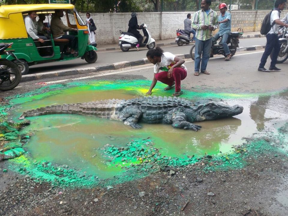 crocodile-bengaluru-pothole-bangalore