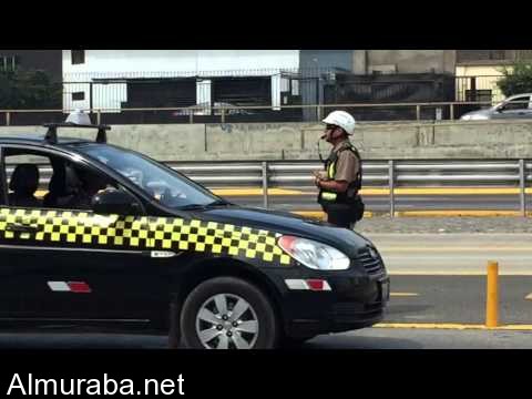 “فيديو” رجل مرور يوقف السير لإنقاذ قطة من منتصف الطريق السريع