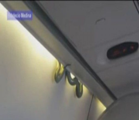 “فيديو” شاهد ثعبان يُثير الفزع على متن طائرة ركاب مكسيكية