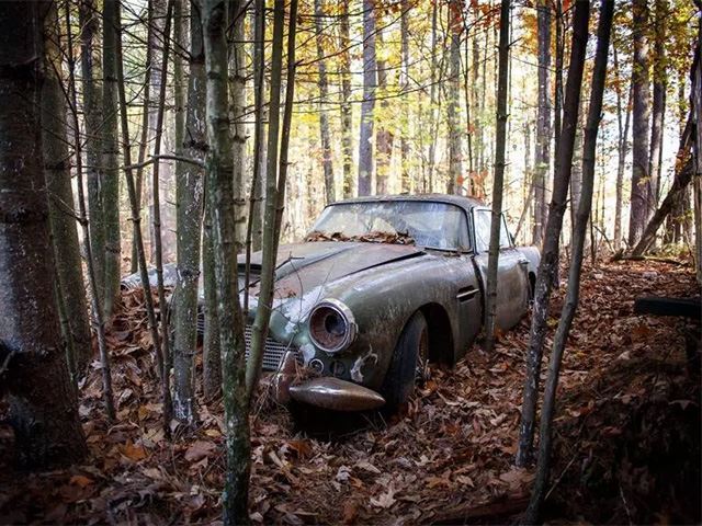 "بالصور" سيارة أستون مارتن DB4 تركت مهجورة لما يقرب الخمسين عامًا بأحد الغابات 1