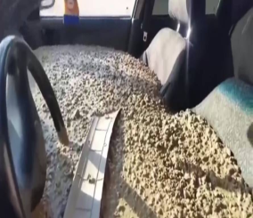 “فيديو” شاهد رجلا غاضبا وهو يملأ سيارة زوجته بالخرسانة