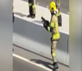 “فيديو” شاهد إغلاق طريق سريع لإنقاذ قطة في العاصمة الإماراتية أبوظبي