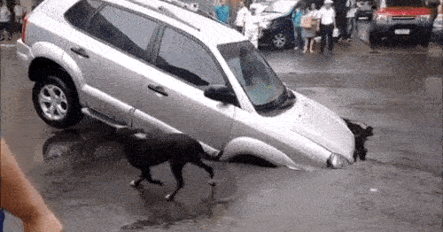 شقّ في الأرض يبتلع سيارة SUV باليابان وسط ذهول المارة