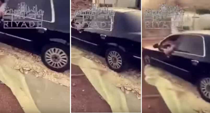 “بالفيديو” شاهد مشهد لشاب يدهس الخبز بسيارته يثير استياء المعلقين
