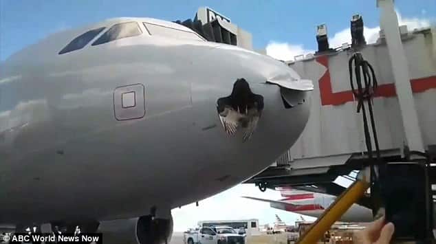 “بالفيديو” شاهد طائر كاد يتسبب بسقوط طائرة ركاب أميركية