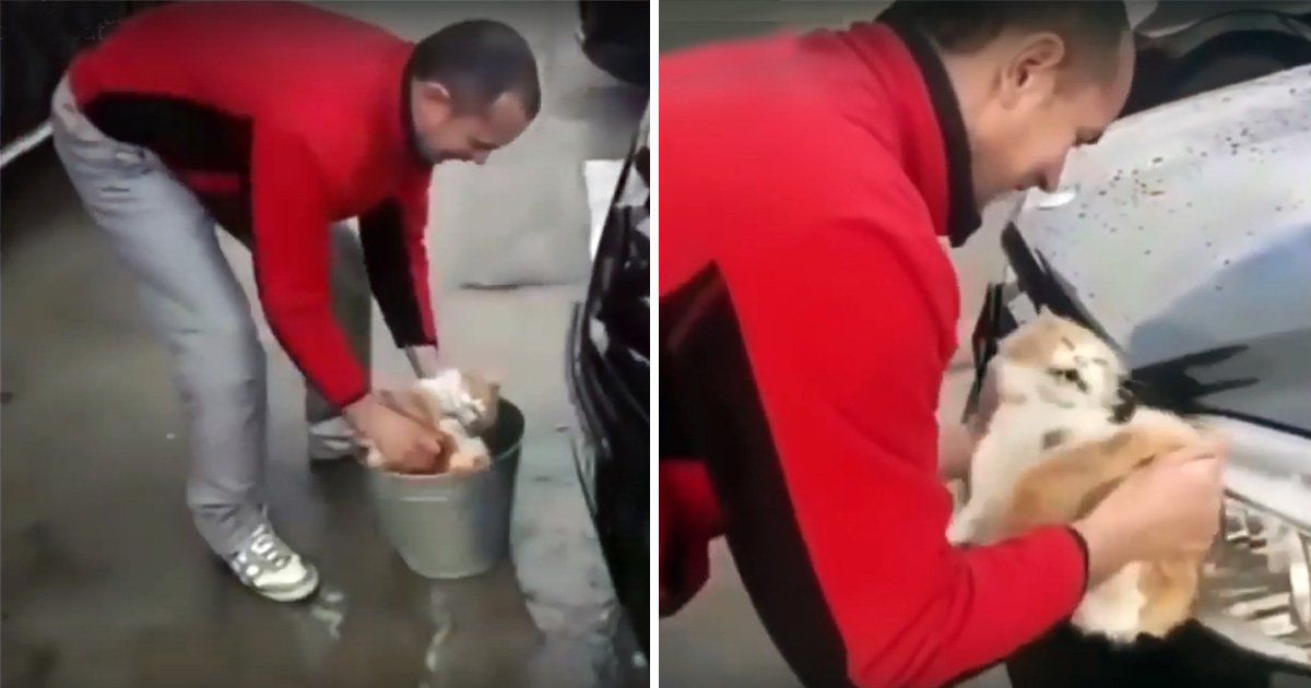 “بالفيديو” الشرطة الروسية تحقق في مقطع لرجل ينظف سيارته باستخدام قطة