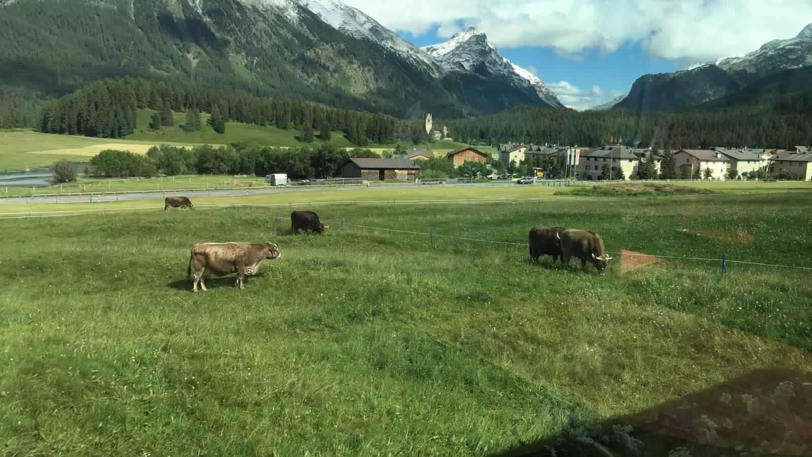 "بالصور" جولة مع قطار جلاسير إكسبريس عبر جبال اﻷلب السويسرية 30