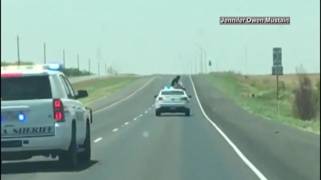“بالفيديو” سجين يحاول الهرب بالجلوس على سيارة الشرطة أثناء سيرها!