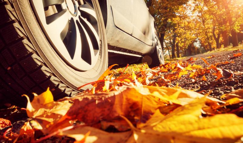 7 نصائح من الخبراء الألمان لتجهيز السيارة لاستقبال فصل الخريف