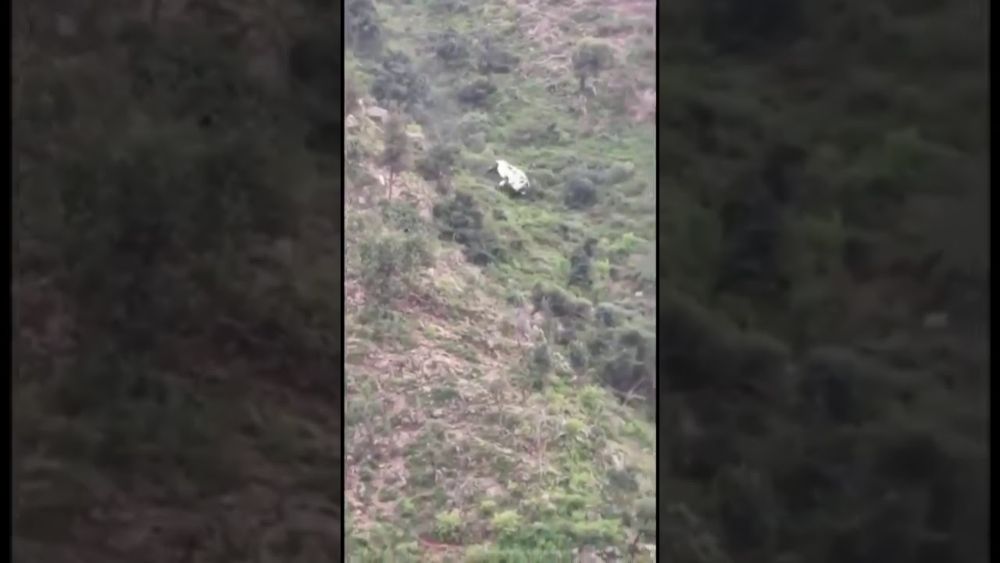 “بالفيديو” سقوط مروع لسيارة من قمة جبل بجازان.. وركابها يتطايرون منها!