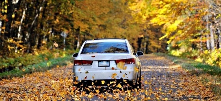 نصائح هامة لتجهيز السيارة للعمل بكفاءة في فصل الخريف 1