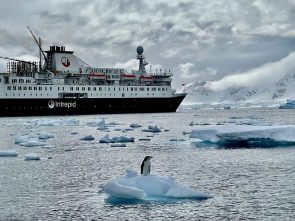 رحلة فريدة إلى القارة القطبية الجنوبية على متن سفينة خاصة بتكلفة 37 ألف ريال