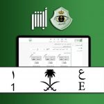 رحلةٌ لاكتشاف أغلى لوحة سيارة في السعودية.. "ع ١" رمز للثراء أم استثمار مربح؟ 19
