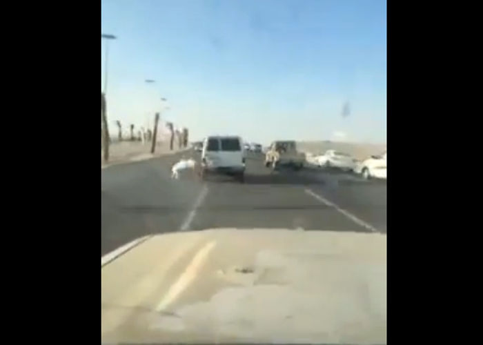 “بالفيديو” شاهد سقوط مراهق متهور خرج من نافذة سيارة تسير على عجلتين