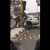 "فيديو" حادث مروع يقسم سيارة الى نصفين على طريق الهدا ويصرع قائدها 3